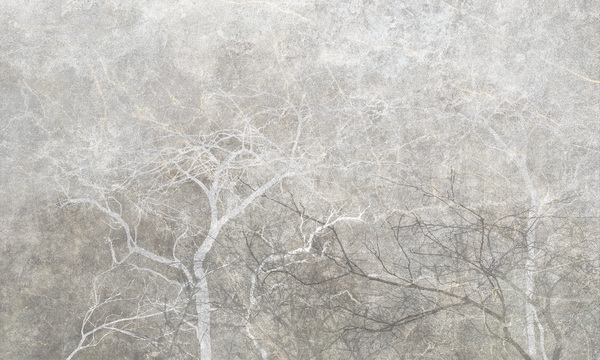 Gray Fog 3