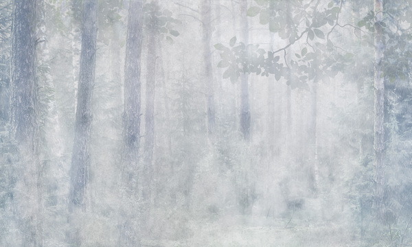 Misty 3
